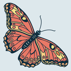 Butterfly flying isolated  Vector 
