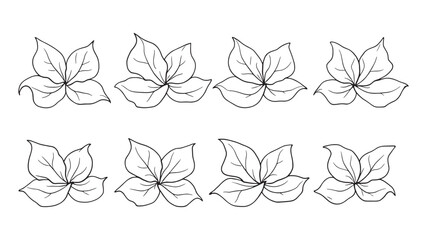 Heliconia line art simple line drawing of tropical flowers
