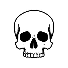 Fototapeta premium Skull Minimalism 