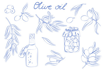Hand-drawn olive oil set illustration in blue line art – olives, branches, leaves, oil bottle, and jar sketch for Mediterranean cuisine, organic food packaging, and botanical design projects.
