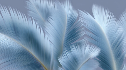 Blue feather background.