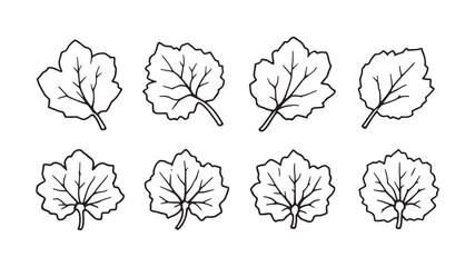 Marigold Leaf line art intricate drawing of nature in detail