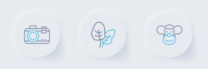 Set line Monkey, Tropical leaves and Photo camera icon. Vector