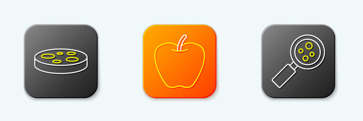 Set line Petri dish with bacteria, Apple and Microorganisms under magnifier icon. Vector