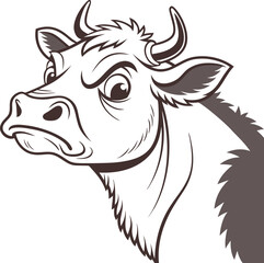 black and white cow