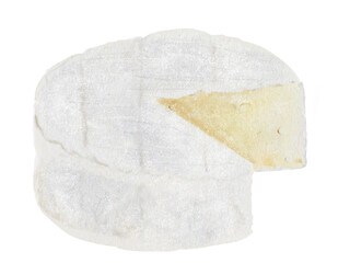 Camembert or brie cheese watercolor drawing. Hand drawn illustration of dairy cream product of French cuisine. Clip art of food on white background. Ideal for packaging of farm organic product or