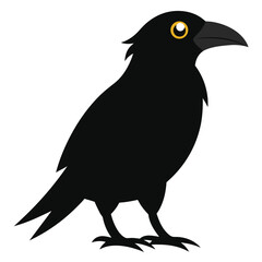 crow on a illustration vector on white background
