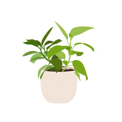 Plant pot illustration -  A green plant is planted in a beige pot.