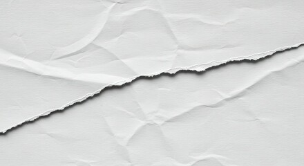 Obraz premium Torn white paper with jagged edge and subtle folds, creating a t