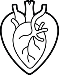 a human heart Line art