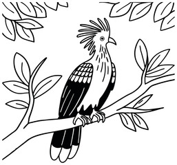 Hoatzin Silhouette Vector Line Art Vector Illustration