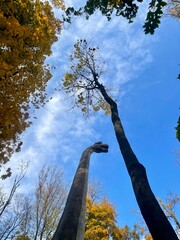 A tall dinosaur sculpture resembling a Brachiosaurus is seen from a low angle, stretching its long neck toward the treetops. Surrounded by vibrant autumn foliage and under a bright blue sky