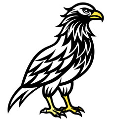 eagle vector illustration