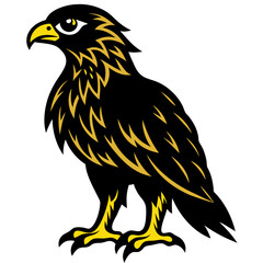 eagle isolated on white