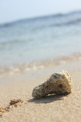 rock at the beach
