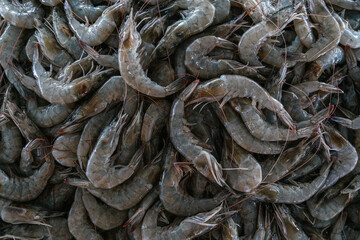 Fresh shrimps piled up at the fish market displaying culinary delights
