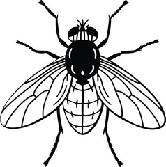 vector illustration of a fly