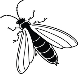 fly on white background