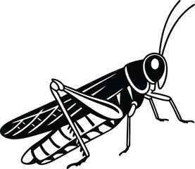 grasshopper on a white background