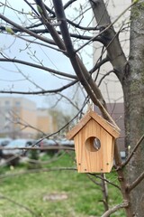 A bird feeder on the tree and building urban landscape photo	