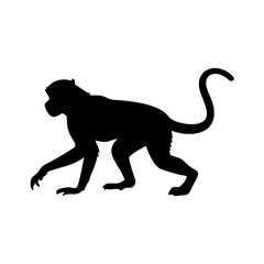 Isolated black silhouette of monkey vector illustration for wildlife animal jungle theme design and art