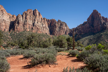 View of red rocks in Red Cliff National Conservation Area, Utah, USA.	
