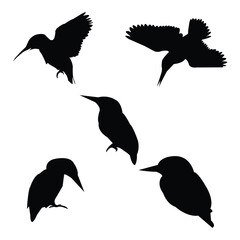Set of black bird silhouettes vector. 