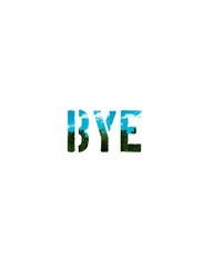 Bye