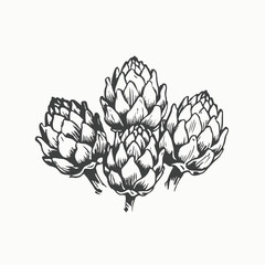 Detailed purple artichoke Hand drawn outline vector sketch illustration on white background