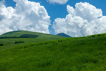 青空の夏の草原に立ち上る入道雲2