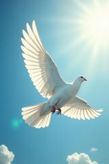 Obraz premium White doves soaring, sunlight gleaming on wings, avian, outdoor