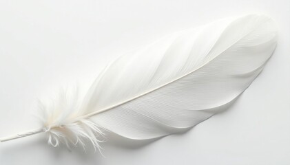 Obraz premium Close-up shot of pristine white feathers against a pure white background , nature, delicate, design