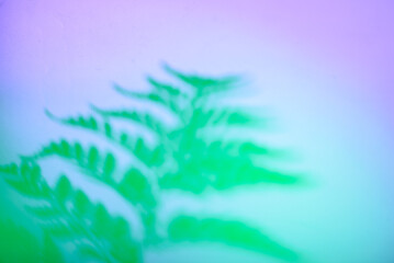Tropical leaves in neon light with duotone shadows