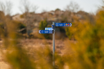 Directional trail signpost with blue arrows. © Trygve