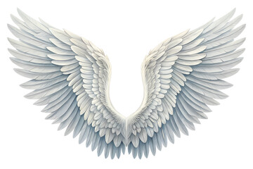 Fototapeta premium Realistic angel wings. White wing isolated. png transparency