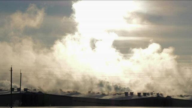Roofs of a cattle farm in winter against a sunny sky birds flying slow motion footage of steam from ventilation
