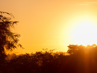 Sunrise, golden sunrise over a rural landscape in Brazil with trees in silhouettes and a bright sky on an autumn morning, natural light, selective focus.