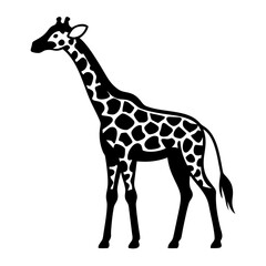 Obraz premium An elegant silhouette of a giraffe, showcasing its iconic elongated neck and distinctive coat pattern, standing tall. 