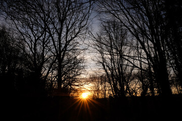 Fototapeta premium Sunset illuminates a serene setting as sunlight filters through the silhouettes of leafless trees. The warm hues create a calm atmosphere, signaling the end of the day.