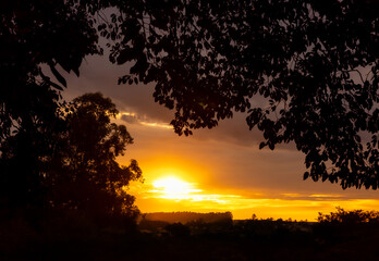 Sunrise, golden sunrise over a rural landscape in Brazil with trees in silhouettes and a bright sky on an autumn morning, natural light, selective focus.