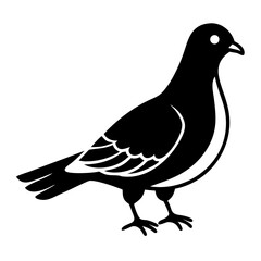 Fototapeta premium An elegant and stylized depiction of a pigeon, in striking black and white, showcasing its distinctive features and poised posture.