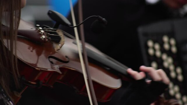 The violinist plays the violin with a bow, festival