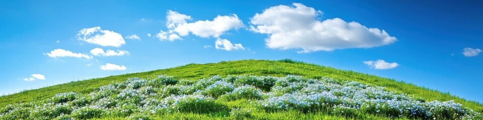A beautiful hillside blanketed with hydrangeas under a vast blue sky, offering a stunning natural scene with ample space for text placement.