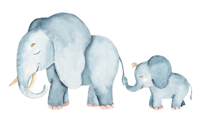 Elephant Family. Baby elephant is holding its mom or dad by the tail. Watercolor Safari illustration of wild animals isolated on a white background. For cards and prints. © Tatiana
