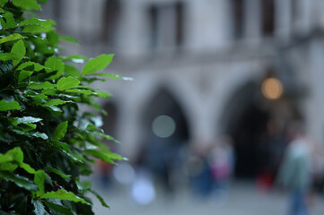 fragments of historic Gothic architecture