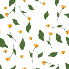 Floral Seamless Pattern with Transparent Background