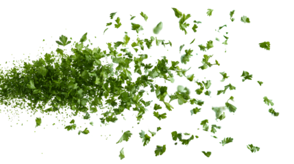 Chopped dried coriander leaves flying individually on white background
