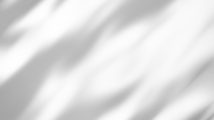 shadow overlay effects of realistic tree branch and foliage leaves shadow isolated on transparent background,shadow for product presentation interior backdrop design,Summer wall abstract shadow overla