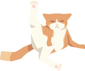 orange cat with cute pose