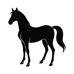 Horse  silhouette vector illustration 